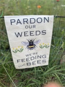 357566308_124962200662402_4290085480148574882_n