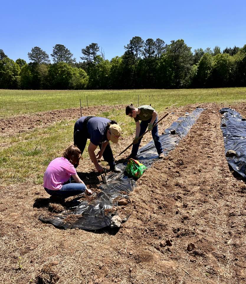 366068124_130758900086452_1913144017076496793_n