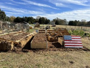 408385236_204777932680828_217022815460529568_n