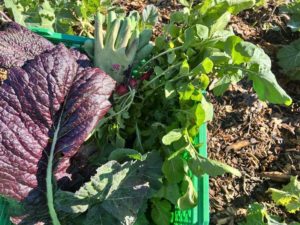 409683527_208174149007873_3543187956277165674_n